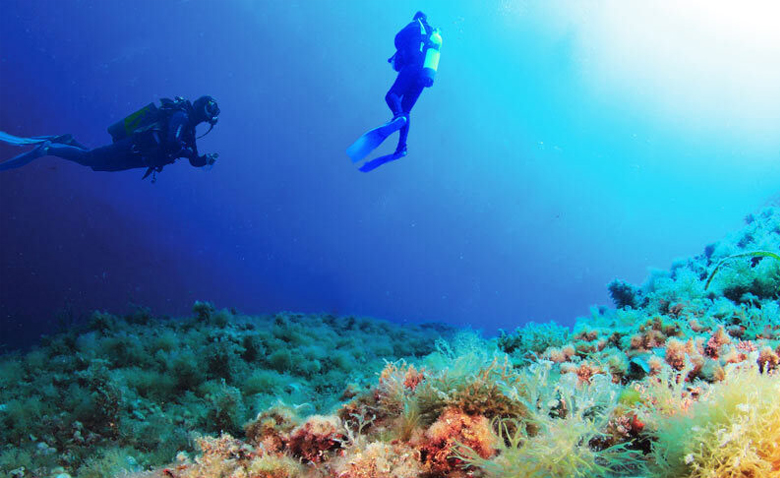 Scuba Dive Charters